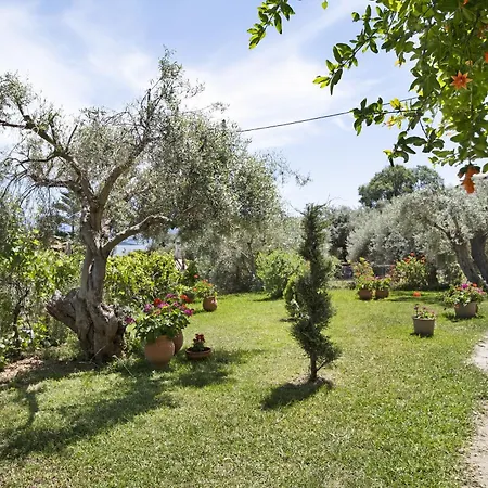 Tasoula With Garden View Apartamento Nikiana
