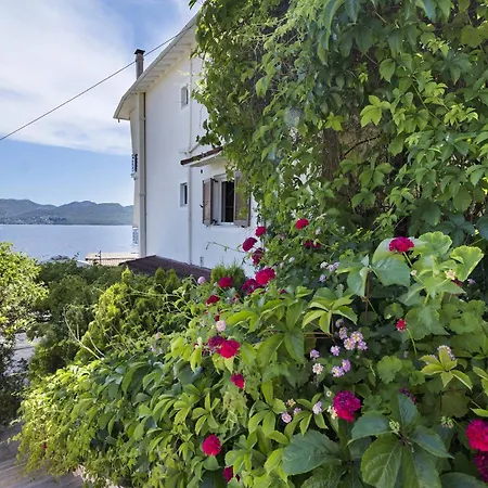 Apartamento Tasoula With Garden View