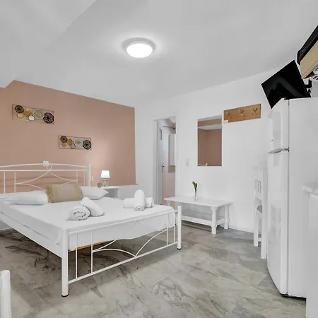 Apartament Tasoula With Garden View Nikiana