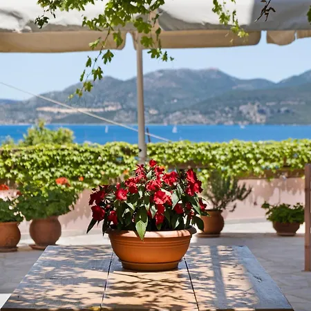 Tasoula With Garden View Apartament