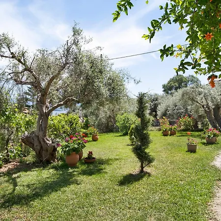 شقة Tasoula With Garden View نِكيانا