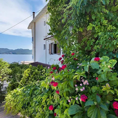 Tasoula With Garden View Никиана